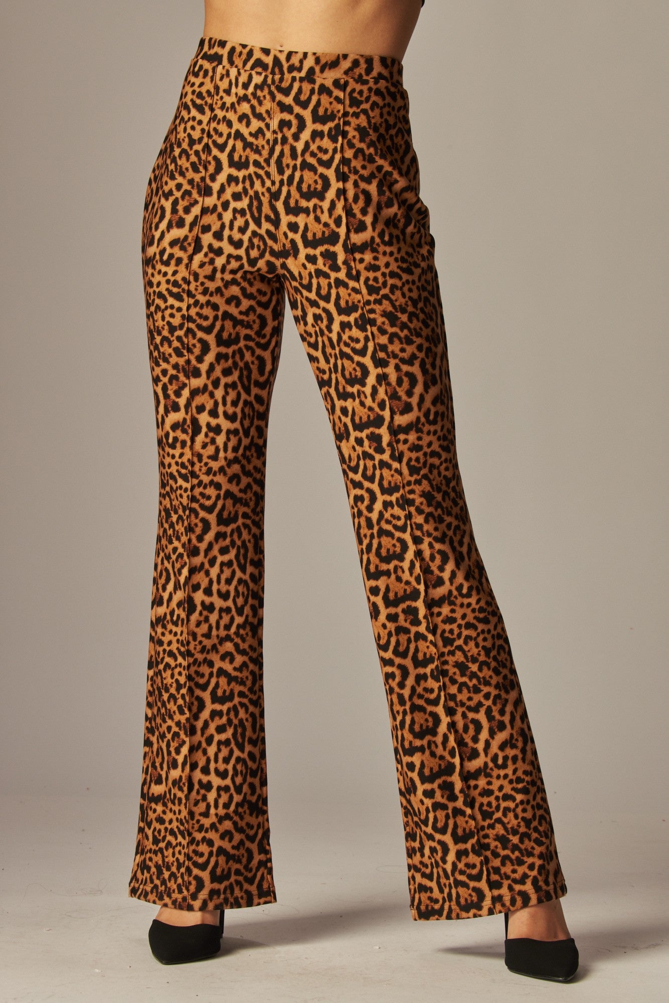 Scuba leopard front seam boot cut pull on pant