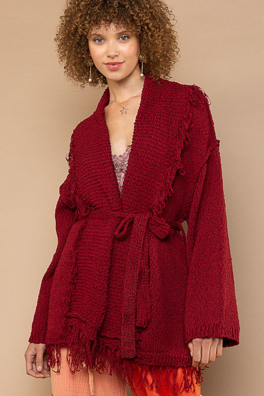 Burgundy cardigan